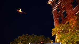 default video 1000x562 img