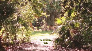 default video 1000x562 img