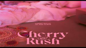 default video 1000x562 img