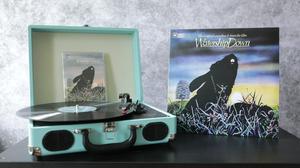 default video 1000x562 img