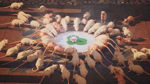 default video 1000x562 img