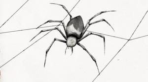 default video 1000x562 img