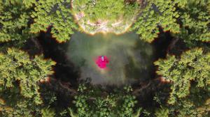 default video 1000x562 img