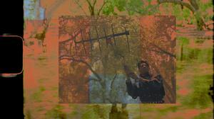 default video 1000x562 img