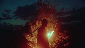 default video 1000x562 img