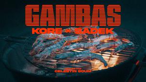 default video 1000x562 img