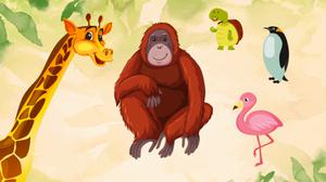 default video 1000x562 img