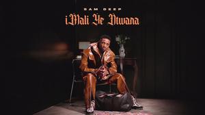 default video 1000x562 img