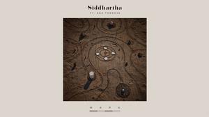 default video 1000x562 img