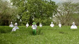 default video 1000x562 img