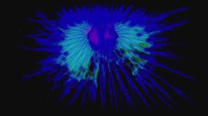 default video 1000x562 img