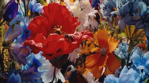 default video 1000x562 img