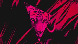 default video 1000x562 img