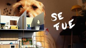 default video 1000x562 img