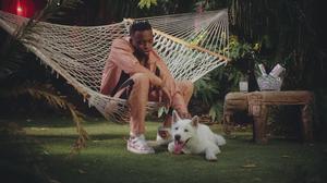 default video 1000x562 img