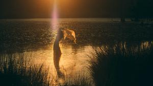 default video 1000x562 img