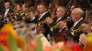 default video 1000x562 img