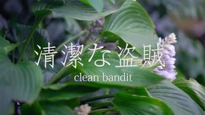 default video 1000x562 img