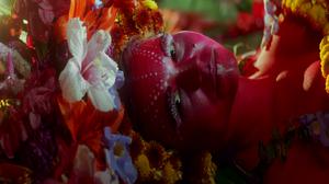 default video 1000x562 img