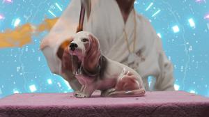 default video 1000x562 img