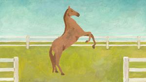 default video 1000x562 img