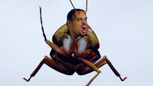 default video 1000x562 img