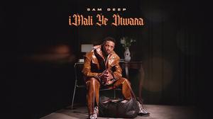 default video 1000x562 img