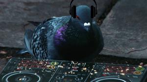 default video 1000x562 img