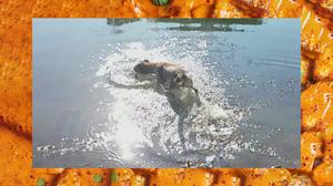 default video 1000x562 img