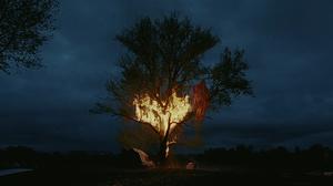 default video 1000x562 img