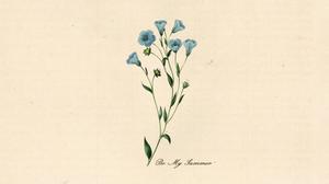 default video 1000x562 img