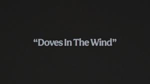 default video 1000x562 img