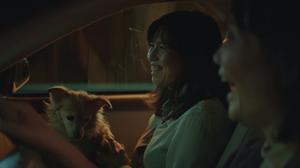 default video 1000x562 img