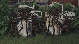 default video 1000x562 img