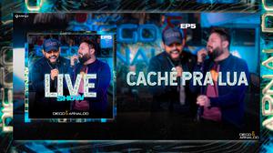 default video 1000x562 img