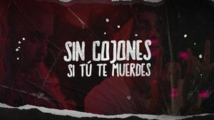 default video 1000x562 img