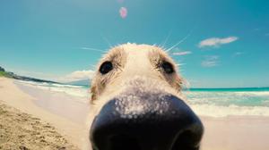 default video 1000x562 img