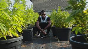 default video 1000x562 img