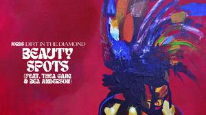 default video 1000x562 img