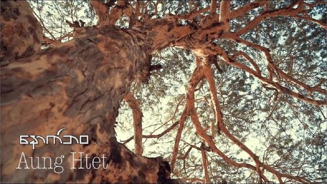 default video 1000x562 img