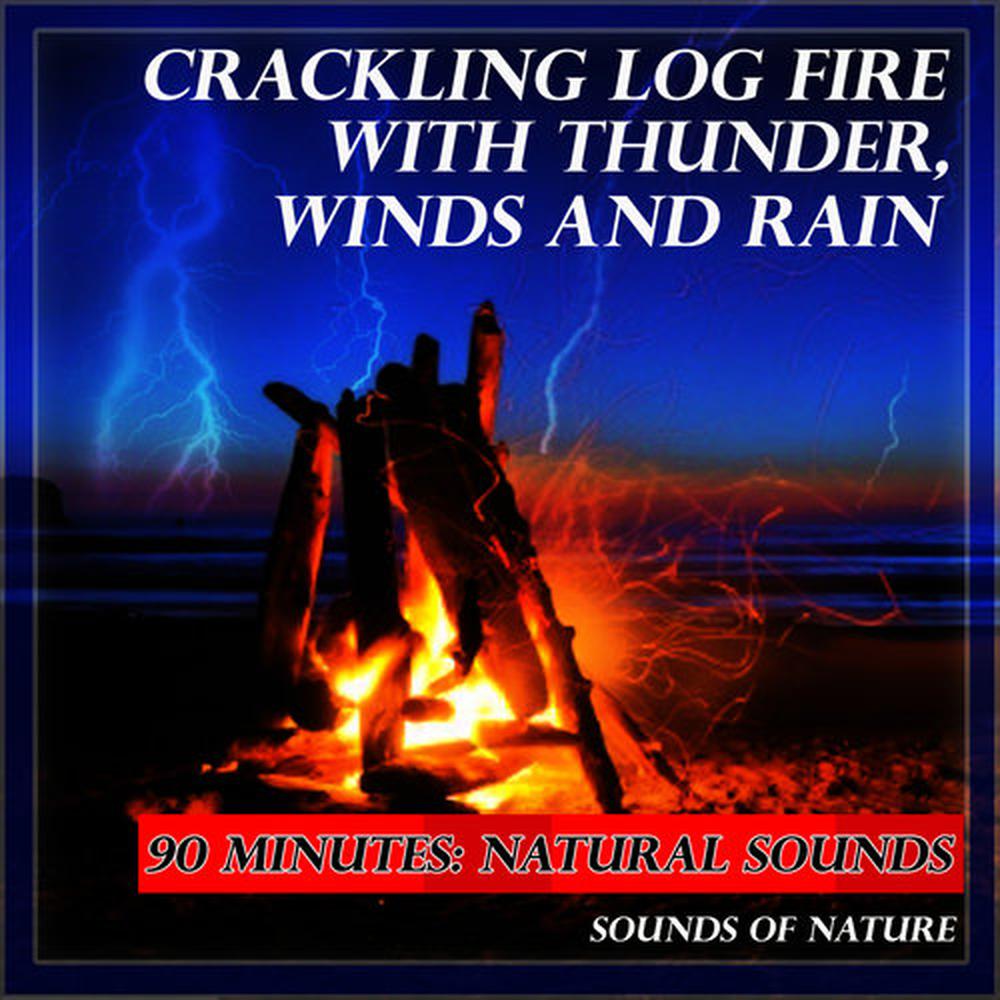 Natural Sounds: Crackling Log Fire with Thunderstorm, Winds and Rain