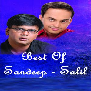 Various Artists的專輯Best of Sandeep - Salil