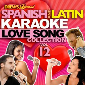 The Hit Crew的專輯Spanish And Latin Karaoke Love Song Collection, Vol. 12