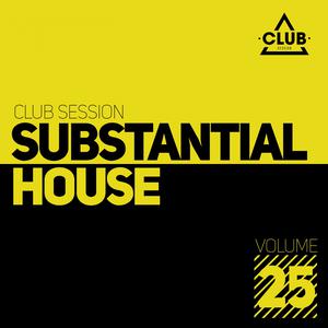 Various Artists的專輯Substantial House, Vol. 25