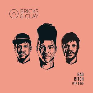 Bricks & Clay的專輯Bad Bitch (VIP Edit)
