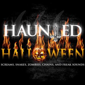 Haunted Halloween Sounds的專輯Haunted Halloween - Screams, Snakes Zombies, Chains and Freak Sounds