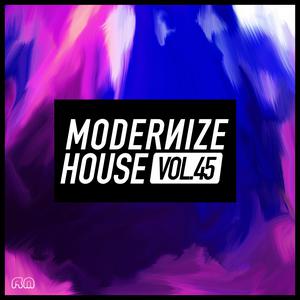 Various Artists的專輯Modernize House, Vol. 45