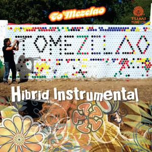 Tomezclao的專輯Hibrid Instrumental