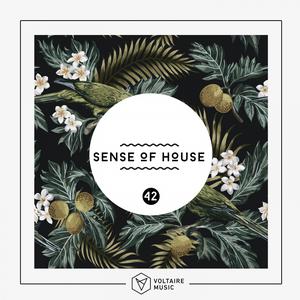 Various Artists的專輯Sense Of House, Vol. 42