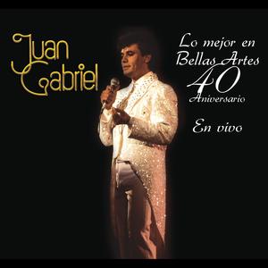 收聽Juan Gabriel的Te Lo Pido por Favor (En Vivo) (En el Palacio de Bellas Artes)歌詞歌曲